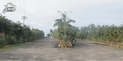 My Green Citadel
