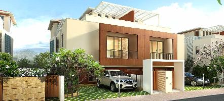 Peninsula Ashok Beleza