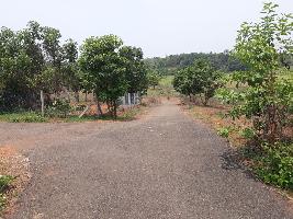 Chathamkulam Green Valley