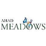 Ahad Meadows
