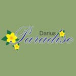 CV Darius Paradise