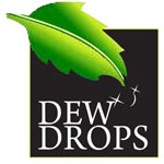 Ram Dew Drops