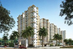 Prestige Pinewood