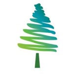 Ardente Pine Grove