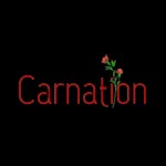 Global Carnation