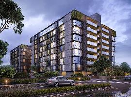Zaveri Amara