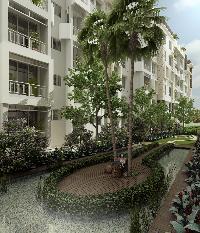 Jain Dream Exotica