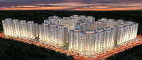 Evershine Amavi 303