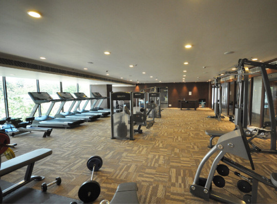Fort Verde, Kolkata - 4/5 BHK Apartment