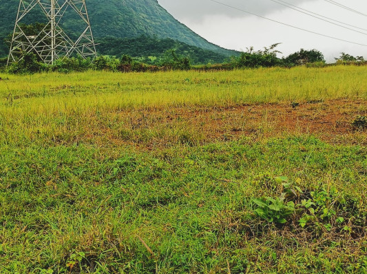 Shradha Eatates Plotting, Pune - Residential Plot