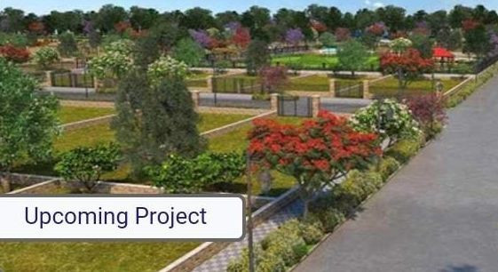 Satya Group of Plots, Gurgaon - Residential Plots