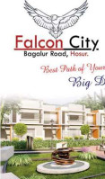 Falcon City