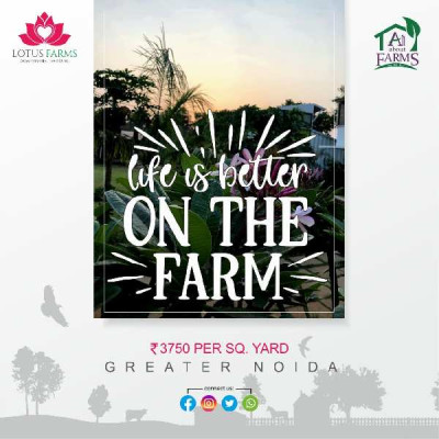 Lotus Farm, Greater Noida - Lotus Farm