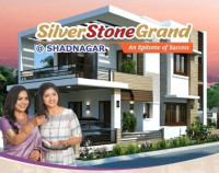 Silver Stone