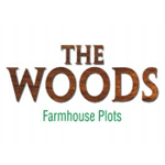 The Woods