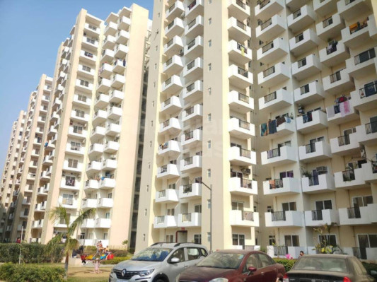 GLS Arawali Homes, Gurgaon - 2/3 BHK Apartments