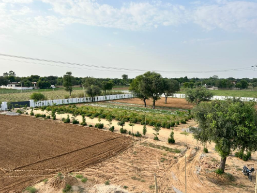 Raama Farms, Jaipur - Farms House