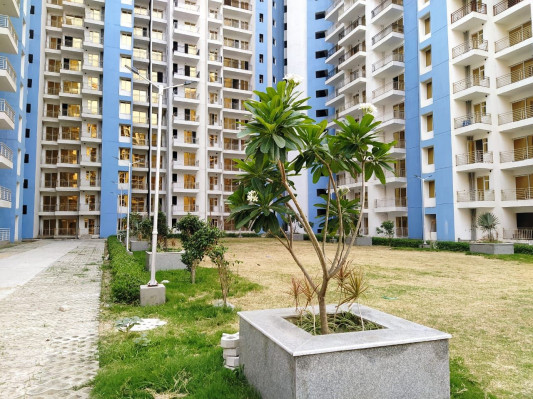 Neotown, Greater Noida - 1/2/3/4 BHK Apartments