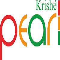 Krishe Pearl