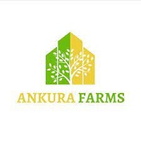 Ankura Farms