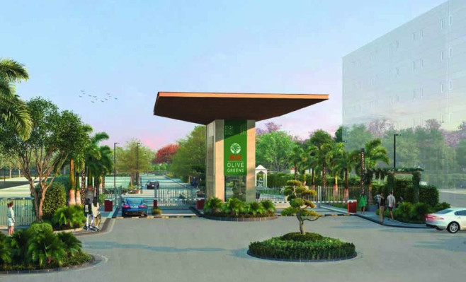 Olive Green, Gurgaon - Residential Plots