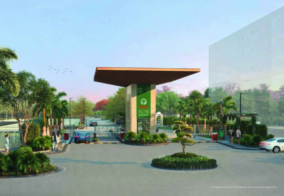 M2k Olive Greens, Gurgaon - 3 BHK Homes
