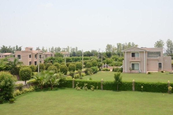 Mansha Greens, Faridabad - Villas & Residential Plots