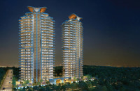 The Sky Heights