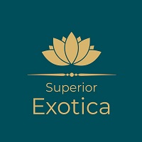 Excotica