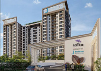 Ace Aster