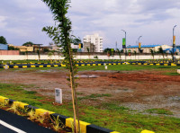 Green Leaf Signature