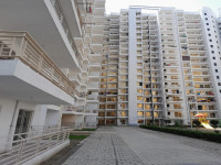 Patel Neotown