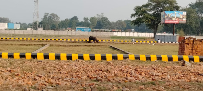 Parijaat Residency, Lucknow - Residential Plots
