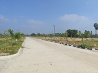 Kaasvi E City