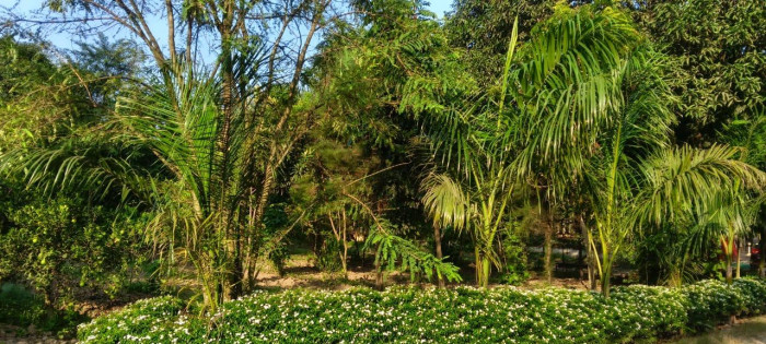 Magic Midose, Saharanpur - Residential Plots