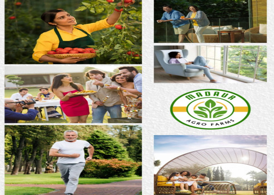 Madaur Agro Farms, Mathura - Farm House / Plot