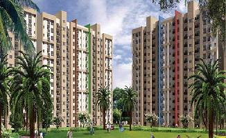 Amrapali River View