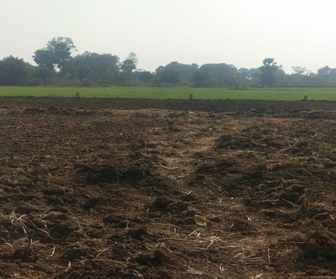 Baba Barfani Residential, Patna - Residential Plots