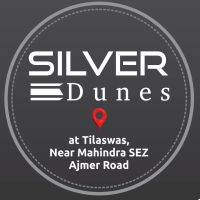 Silver Dunes