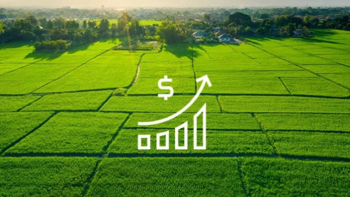 Avanthi Vista, Bangalore - Residential Plots