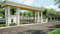 Palm Drive Phase 2