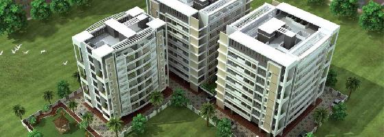 Ongoing Projects