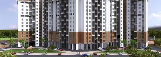 Ongoing Projects