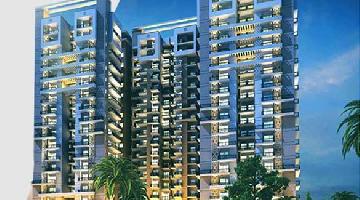 Arihant Ambar