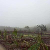  Residential Plot for Sale in Dapoli, Ratnagiri