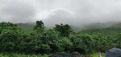  Agricultural Land for Sale in Alibag, Raigad