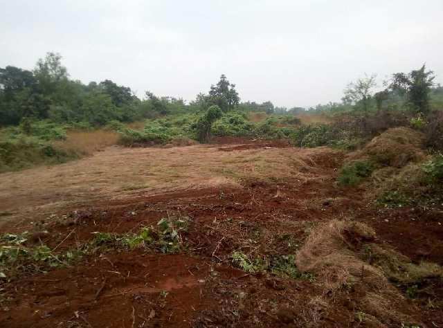  680 Acre Industrial Land for Sale in Rajapur, Ratnagiri