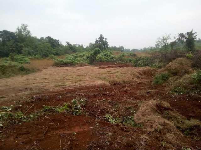  680 Acre Industrial Land for Sale in Rajapur, Ratnagiri