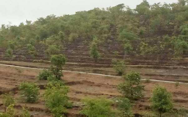  680 Acre Industrial Land for Sale in Rajapur, Ratnagiri
