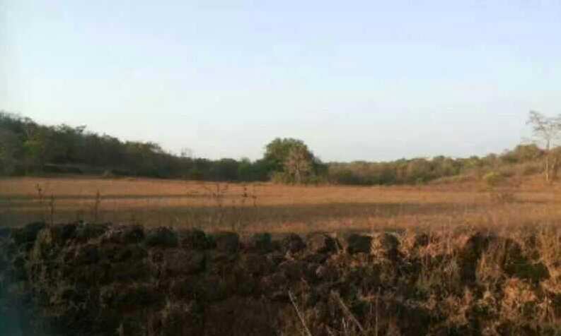  800 Acre Industrial Land for Sale in Rajapur, Ratnagiri